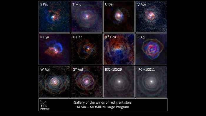 Gallery of stellar winds around cool ageing stars, showing a variety of morphologies, including disks, cones, and spirals. The blue colour represents material that is coming towards you, red is material that is moving away from you.
